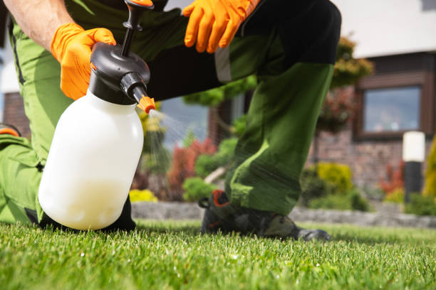 Best Pest Prevention Services  in Vineyard Haven, MA